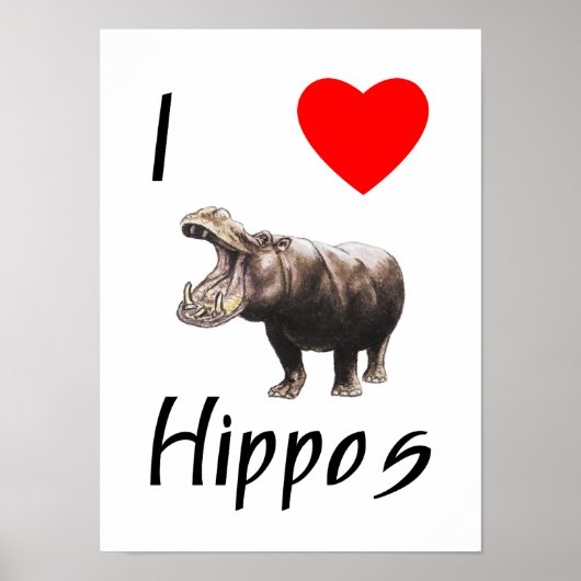 I Love Hippos (2) Poster (Voorkant)