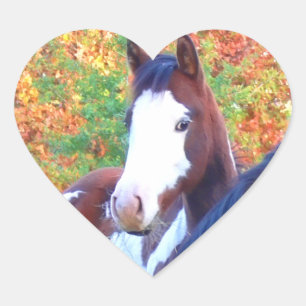 I Love Horses Stickers Coeur