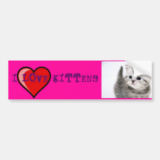 i love kittens bumpersticker