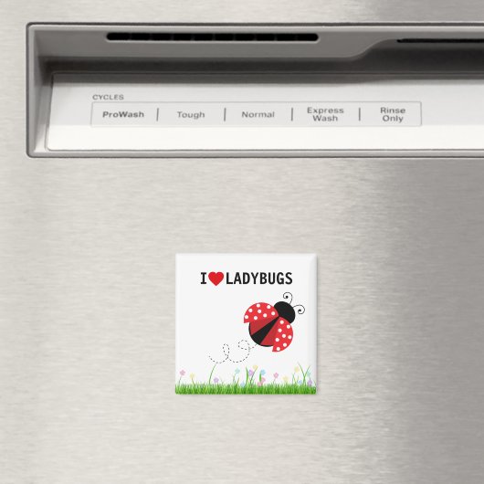 I Love Ladybugs Magnet (In Situ (Lave-vaisselle))