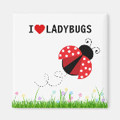 I Love Ladybugs Magnet (Devant)