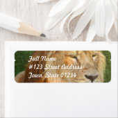 I Love Lions Mailing Étiquettes (En situation)