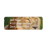 I Love Lions Mailing Étiquettes