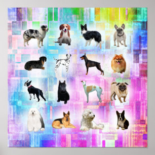 I Love Love of Dogs Poster