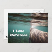 I Love Manatees Briefkaart (Voorkant / Achterkant)
