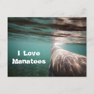 I Love Manatees Briefkaart