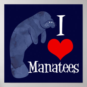 I Love Manatees Poster