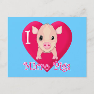 I Love Micro Pigs Briefkaart