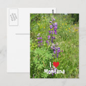 I Love Montana Briefkaart (Voorkant / Achterkant)