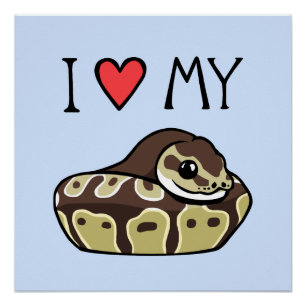 "I Love My Ball Python" jolie affiche de dessin de