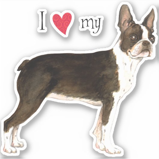 I Love my Boston Terrier Vinyl Sticker (Devant)