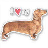 I Love my Dachshund Vinyl Sticker (Devant)