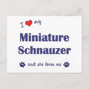 I Love My Miniature Schnauzer (Vrouw Dog) Briefkaart