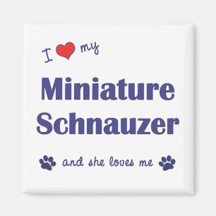 I Love My Miniature Schnauzer (Vrouw Dog) Magneet