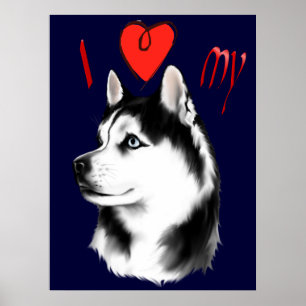 I Love My Siberian Husky Poster
