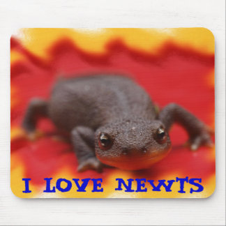 I Love Newts Muismat