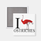I Love Ostriches Magnets (Recto/Verso)