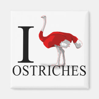 I Love Ostriches Magnets