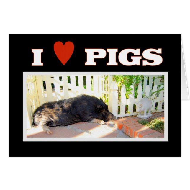 I love Pigs (Devant horizontal)