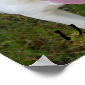 I Love Pitbulls Poster (Hoek)