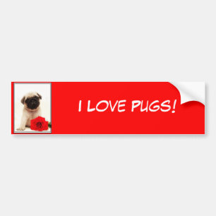 I Love pugs Pug puppy bumper sticker