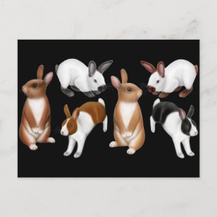 I Love Rabbits Briefkaart