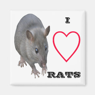 I Love Rats Magnet