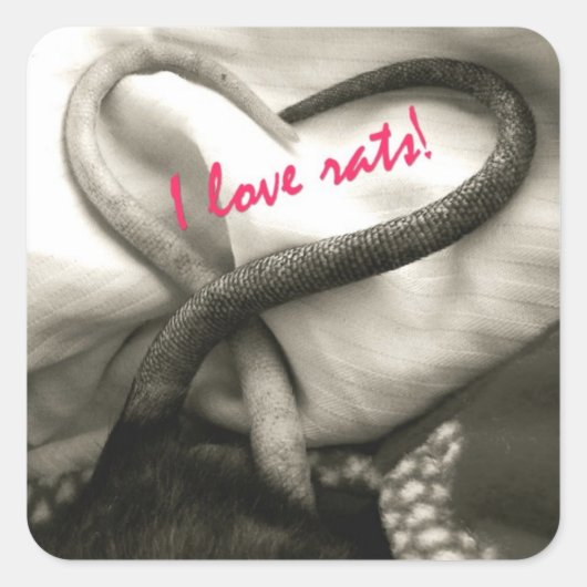 I LOVE Rats stickers (Devant)