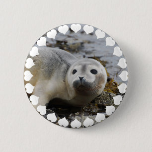 I Love Seals Ronde Button 5,7 Cm