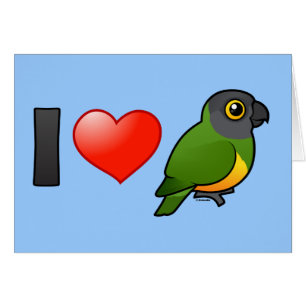 I Love Senegal Parrots