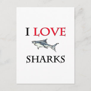 I Love Sharks Briefkaart