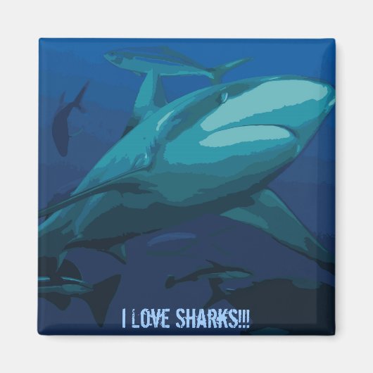 I Love Sharks Magnet Magneet (Voorkant)