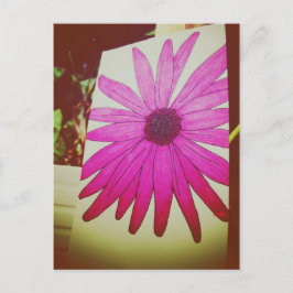 I Love Snailmail - Sunflower Briefkaart