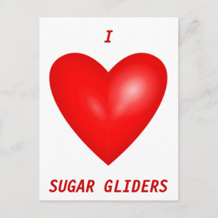 I Love Sugar Gliders Briefkaart