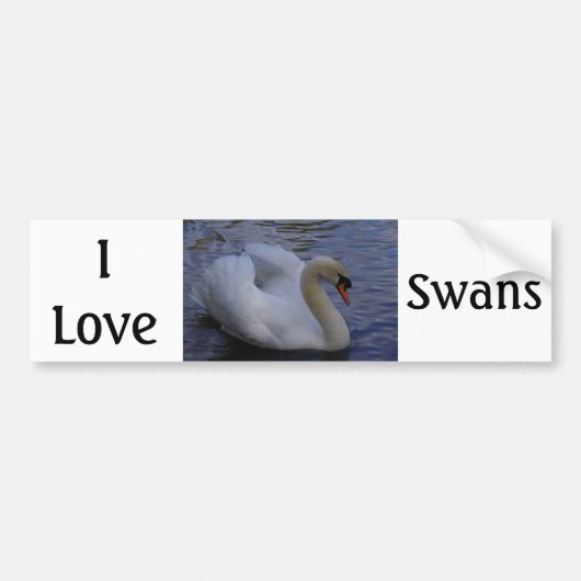 I Love Swans Bumper Sticker (Devant)