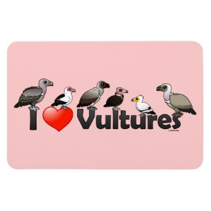 I Love Vultures (Africa) Magneet