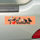 I Love Vultures (Eurasia) Bumpersticker (Op auto)