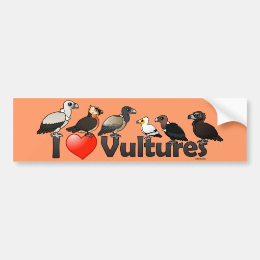I Love Vultures (Eurasia) Bumpersticker (Voorkant)