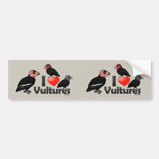 I Love Vultures (North America) Bumpersticker (Voorkant)