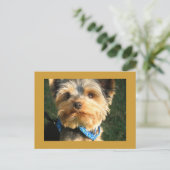 I Love Yorkies Briefkaart (Staand voorkant)