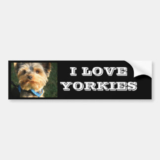I Love Yorkies Bumpersticker