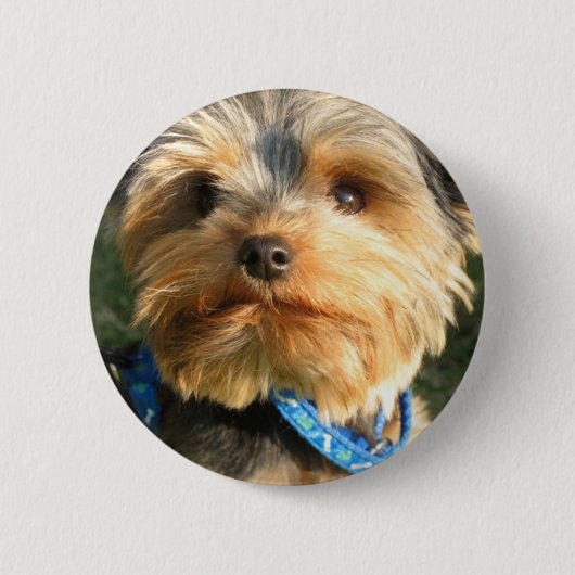 I Love Yorkies Ronde Button 5,7 Cm (Voorkant)
