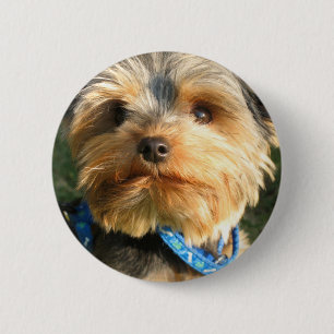 I Love Yorkies Ronde Button 5,7 Cm