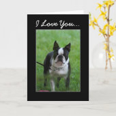 I Love you Boston Terrier carte de voeux (Fleur jaune)
