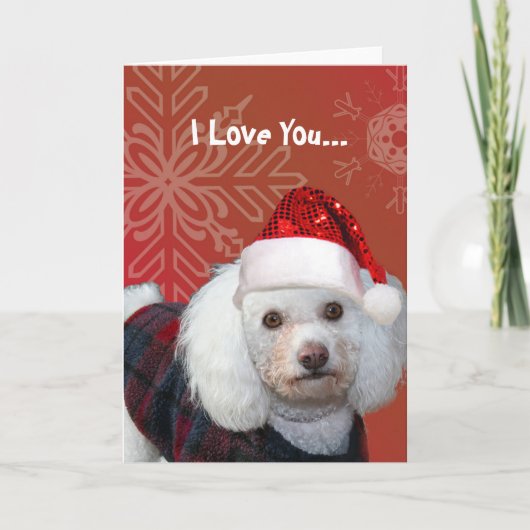 I Love You Christmas poodle carte de voeux (Devant)