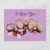 I Love You Orchid Trio Flower Photo Carte postale (Devant)