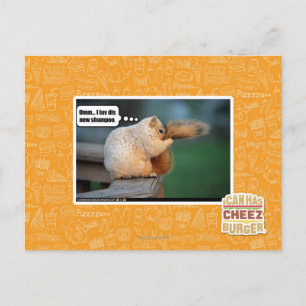 I luv dis new shampoo briefkaart