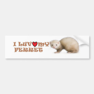 I Luv My Ferret Bumpersticker