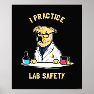 I Praktische Lab-veiligheid Poster