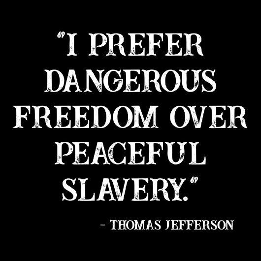 I preffious freedom over peaceful slavery sticker